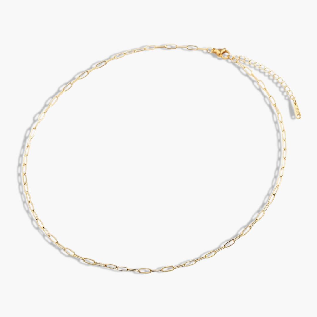 Gold Petite Paperclip Necklace