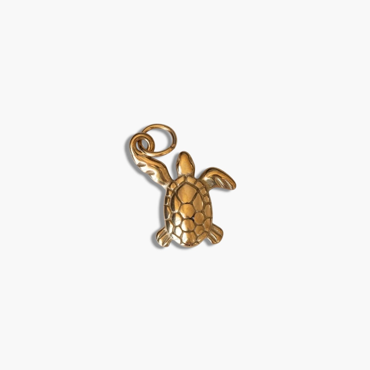 Turtle Charm