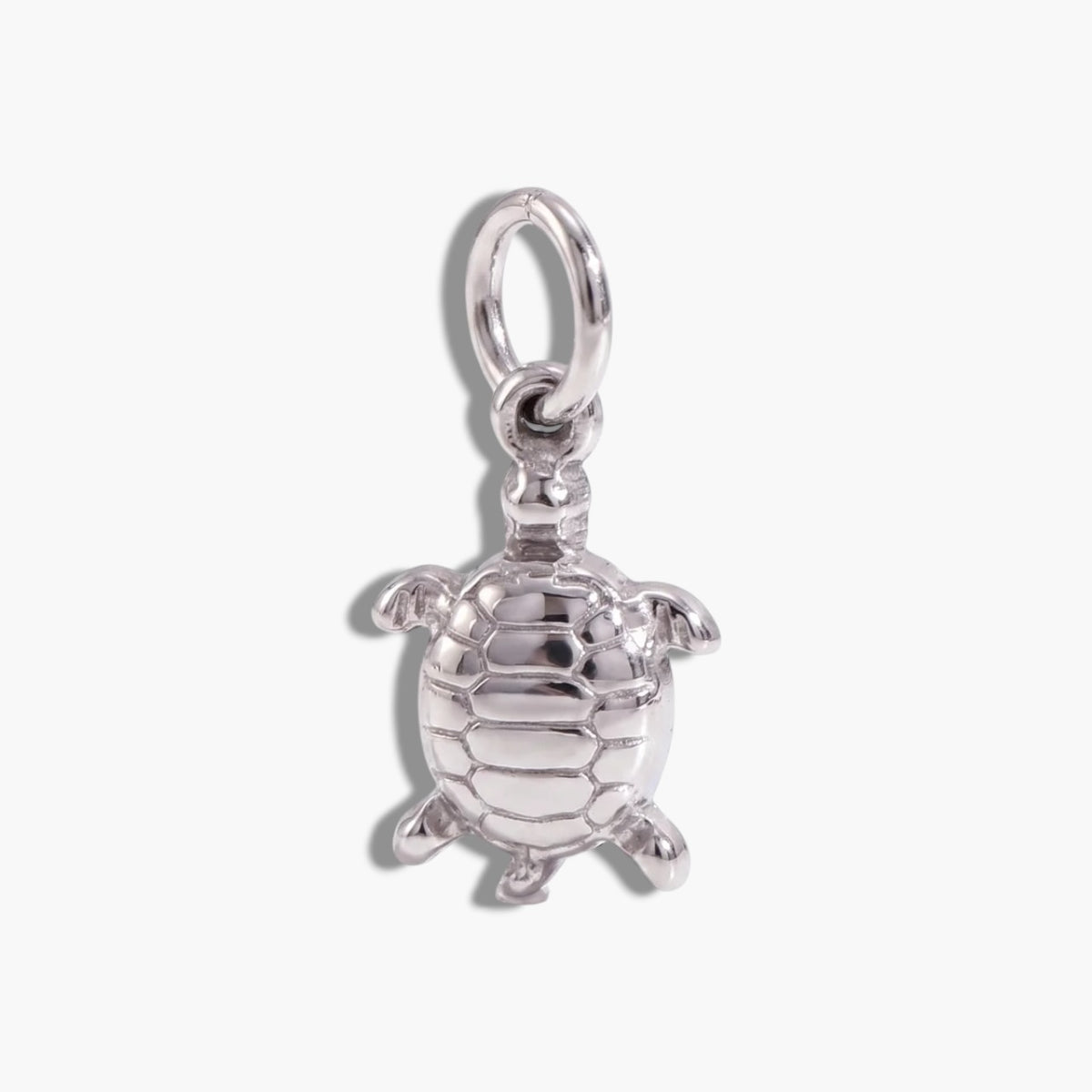 Silver Turtle Charm