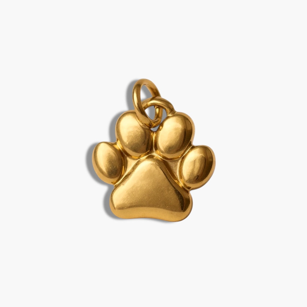 Dog Paw Charm